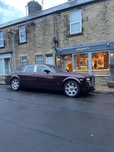 Brightens up any dull weather